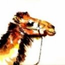 Vamos Art - Dromedar