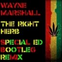 Wayne Marshall - The Right Herb