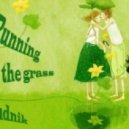irudnik - Running on the grass