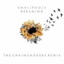 Smallpools - Dreaming