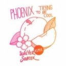 Phoenix - Trying To Be Cool (Walter Sobcek Remix)