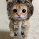 Knife Party vs. Martin Solveig - Hey Death Machine