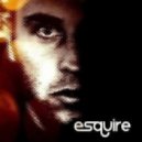 Franky Rizardo & Roul And Doors vs. Lise Millett - Elements Gone (eSQUIRE Mashup)