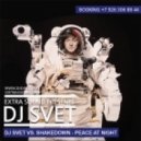 DJ Svet vs. Shakedown - Peace At Night (Svet Bootleg)
