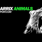 MArtin Garrix - Animals