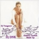 Dj Vengerov & В.Брежнева vs. Dj DNK - Любовь Спасет Мир (Andrey Gorkin Mash Up)