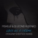 Mishelle & DJ Leonid Rudenko - Love is a Crime (Yevgeniy Shevtsov Remix)