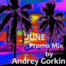 Dj Andrey Gorkin - June Promo Mix 2013