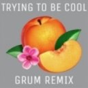 Phoenix - Trying To Be Cool (Grum Remix)