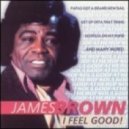 James Brown & Stanislav Shik & Dave Kurtis - I Feel Good