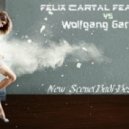 Felix Cartal feat. Ofelia vs Wolfgang Gartner - New Scene (Badi Best Mash Up)