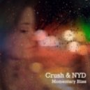 Crush & NYD - Momentary Bliss (Original mix)