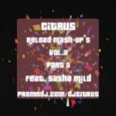 Ylvis vs. Older Grand - The Fox (Citrus & Sasha Mild Mash-Up)