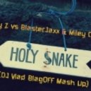 Jay-Z vs. BlasterJaxx & Miley Cyrus - Holy Snake