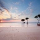 Andy Lime - Wanderer