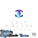 James Egbert - Exit Wounds (Statik Dynamik Remix)