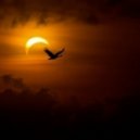 Avernus pres. Dreamcatcher - Sirya