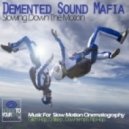 Demented Sound Mafia - This Is How I Feel