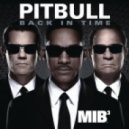 Pitbull & Gregor Salto - Back in Time