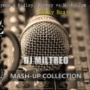 Playmen & Hadley, Runway vs Misha Zam - Gypsy Heart (Dj Miltreo Mash-Up)