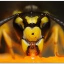 Rust - Crazy Night (Original Mix)