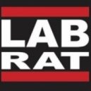 LabRat - Donkage