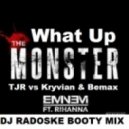 Eminem ft. Rihanna ft. TJR vs Kryvian & Bemax - What up Monster (DJ Radoske Booty mix)
