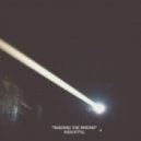 Insightful - Needing The Wrong