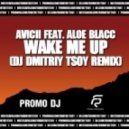 Avicii feat. Aloe Blacc - Wake Me Up (Dj Dmitriy Tsoy remix)