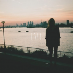 Fake Static Noise - Fall