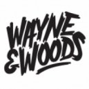 Wayne & Woods vs. Paneoh feat. Maetrik - Follow Jumangee (Wayne & Woods Private Edit)