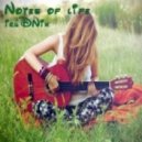 iruDNik - Notes of life (DnB mix)