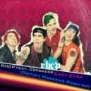 RHCP feat. Crookers - Cant Stop