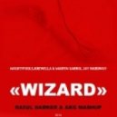 Martin Garrix, Mightyfools, Krewella & Jay Hardway - WIzard (Ra5ul Darker & DJ AKG Mashup)