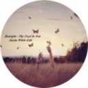 Bearight - The Fool In You