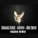 Charli Brix - Doves (Kashia Remix)