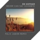 De Hofnar - Never Can Say Goodbye (Felix Jaehn Remix)