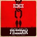 Anthony Hamilton - Freedom (Ahmet Kilic Remix)