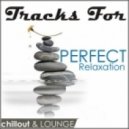 New Life - Cold Outside My Window