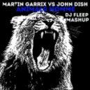 Martin Garrix vs John Dish - Animals Homme (Dj Fleep Mashup)