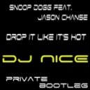 Snoop Dogg feat. Jason Chance - Drop It Like It\'s Hot (DJ Nice [Kostroma] Private Bootleg)