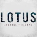 ARCHNGL × HAARPS - Lotus