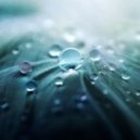 Andy Lime - Only emptiness