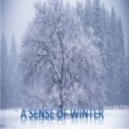DSG - A Sense of Winter ()