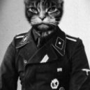 Tujamo vs. LLP - Hey Mister