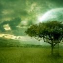 Mahmut Orhan - Without You (Boral Kibil Dream Mix)