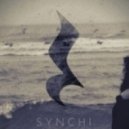 Synchi - Praesidio
