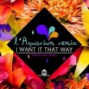 Backstreet Boys - I Want It That Way (L\'aquarium Remix)