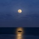 	 Interior Dreams - Light Morning