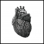 Meeka Kates - Closure